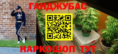 PSILOCYBIN Донской
