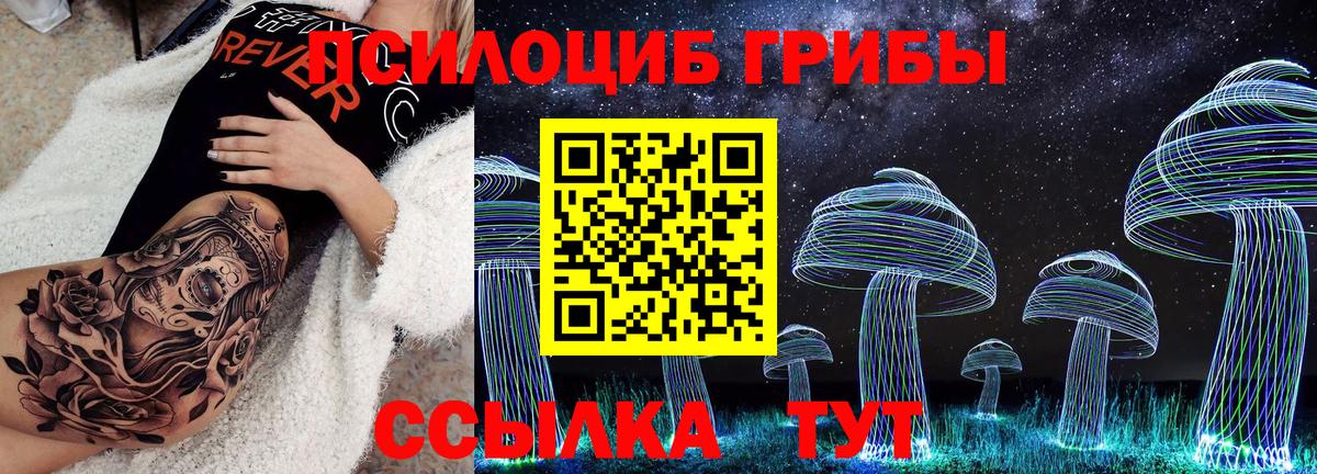 Мичуринск  Галлюциногенные грибы мухоморы  Псилоцибиновые грибы мицелий  Вход с VPN 